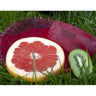 FREPRO WAVE 3D Rejilla para urinario con aroma – Kiwi Pomelo